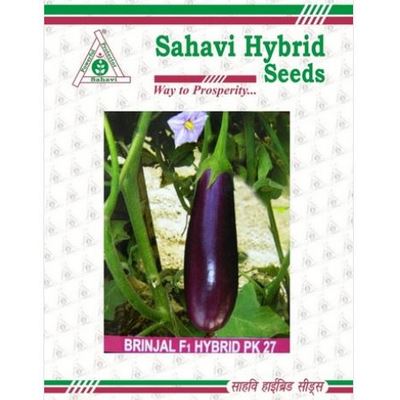 Brinjal PK-27 10 grams