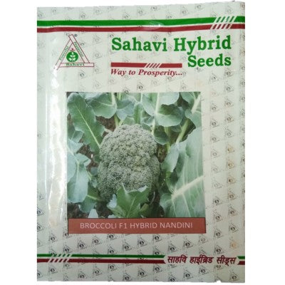 Broccoli Nandini 10 grams