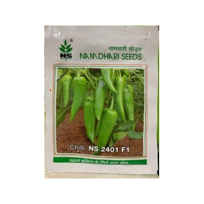 Chilli / Hot Pepper NS 2401 (Namdhari)