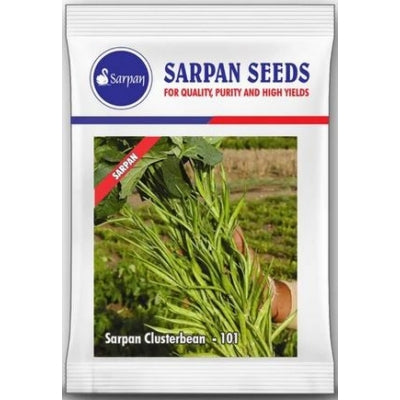 Clusterbean / Guar Sarpan 101