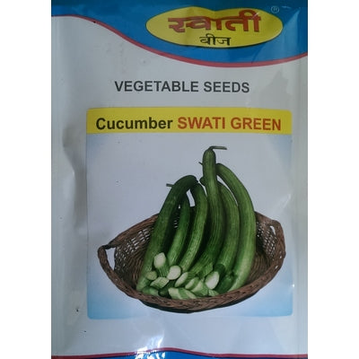 Cucumber Swati Green