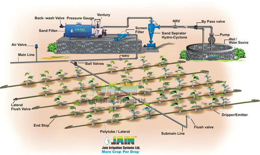 Jain Drip Irrigation System