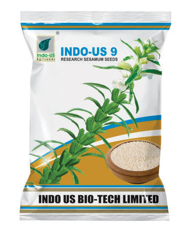 Seasamum / Til Indo US 9