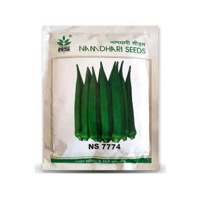 Okra / Lady Finger NS 7774 - 100 grams (Namdhari)