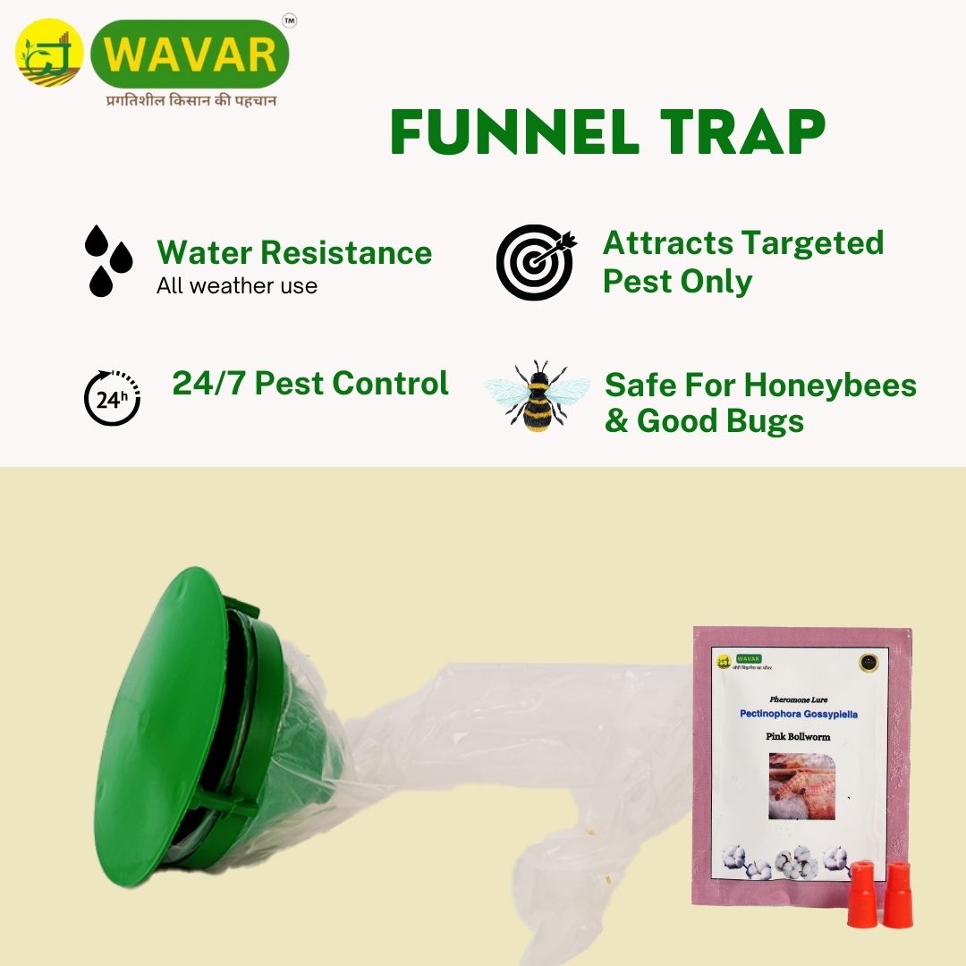 Wavar Funnel Trap with Pectinophora Gossypiella Lure