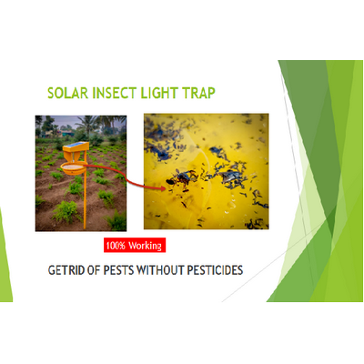 Chipku Solar Insect Trap to Catch Small sap Feeding Insects