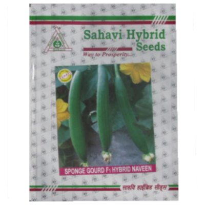 SpongeGourd / Galki Naveen