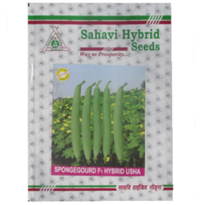 SpongeGourd / Galki Usha (White Seeded)