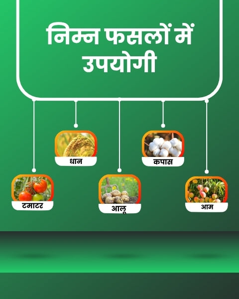 Katyayani Thioxam - Thiamethoxam 25% WG