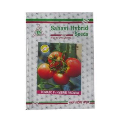 Tomato Padmini