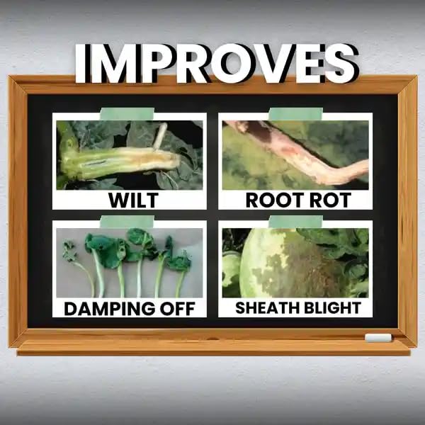 Katyayani Tyson - Trichoderma Viride | Bio Fungicide