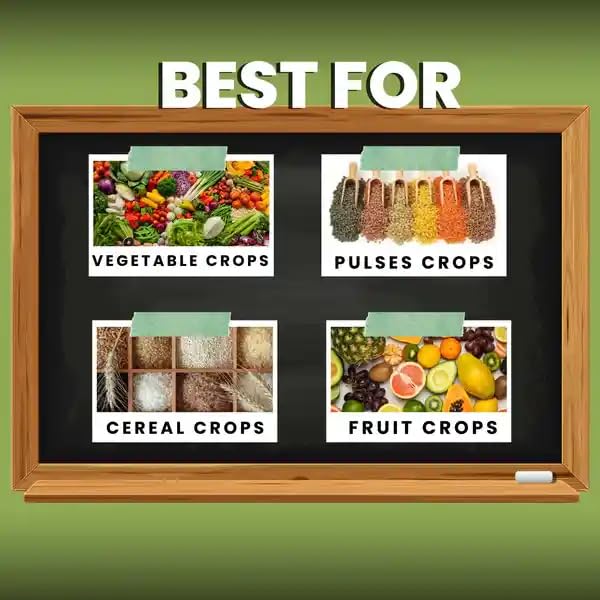 Katyayani Tyson - Trichoderma Viride | Bio Fungicide