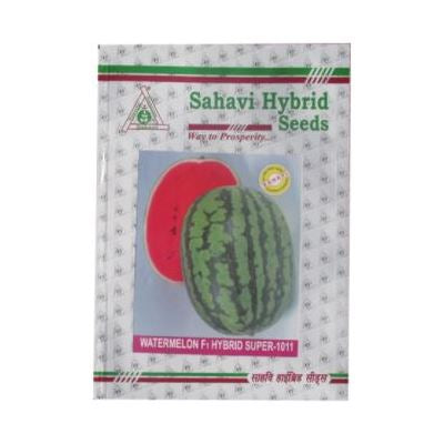 Watermelon Super-1011