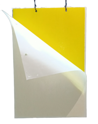 Chipku Yellow Sticky Trap A4